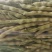 山东暖棚芸豆大量上市
