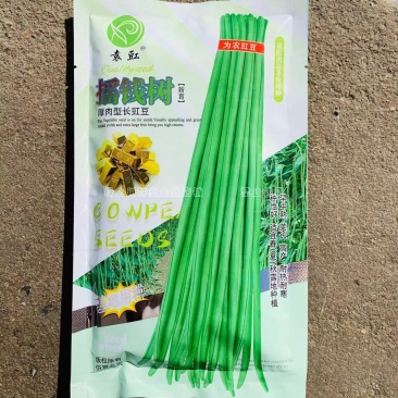 厚肉型长豇豆种子高产耐热耐寒春夏秋种植长豆角种子优质