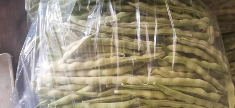 山东暖棚芸豆大量上市