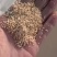 谷壳，小米壳，枕芯，娃娃，填充物，