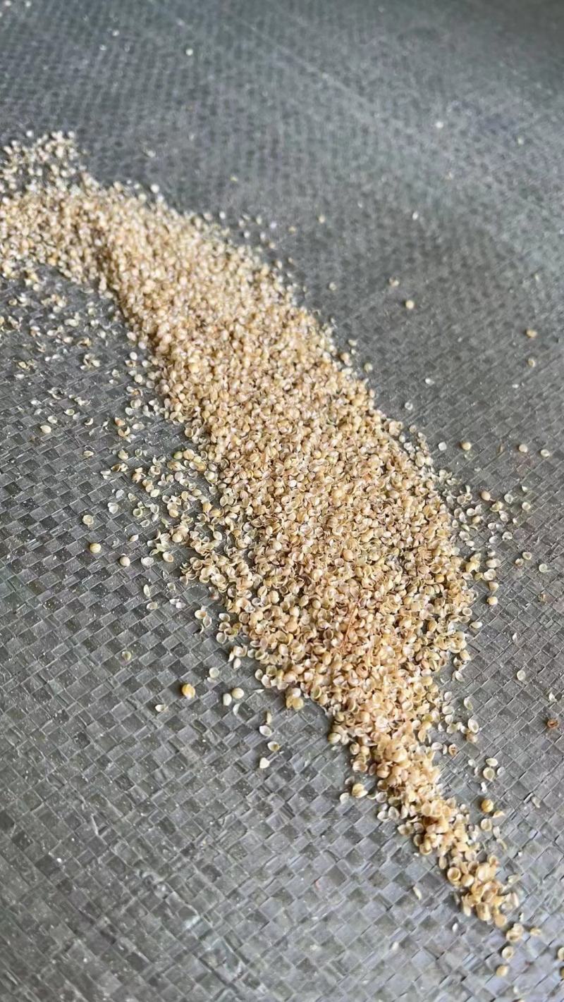 谷壳，小米壳，枕芯，娃娃，填充物，