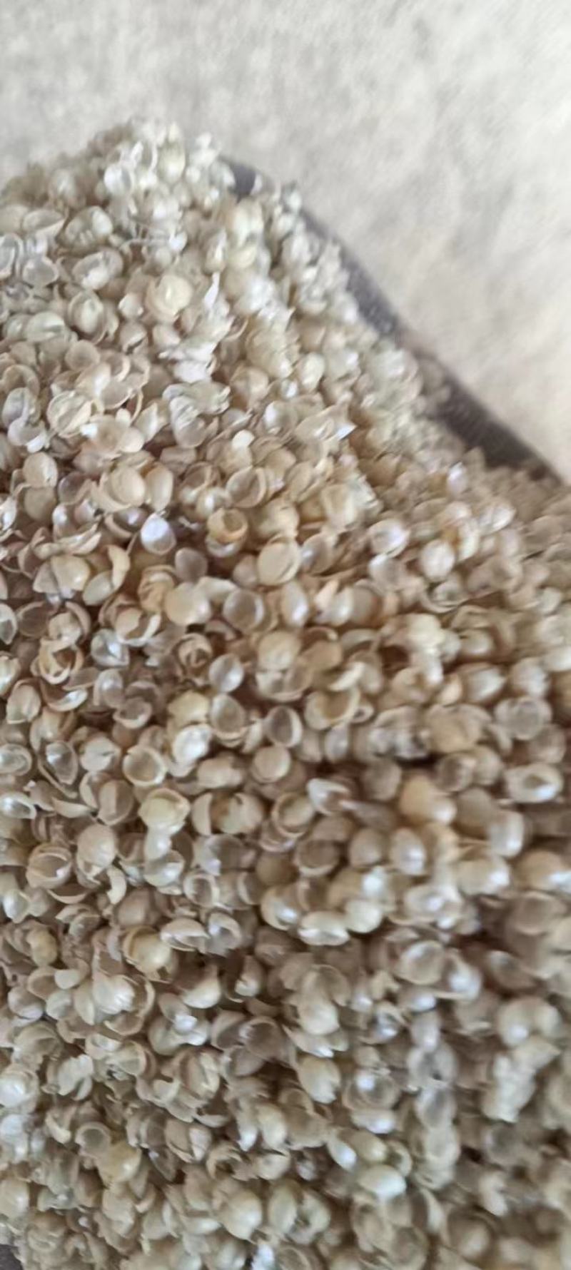 谷壳，小米壳，枕芯，娃娃，填充物，