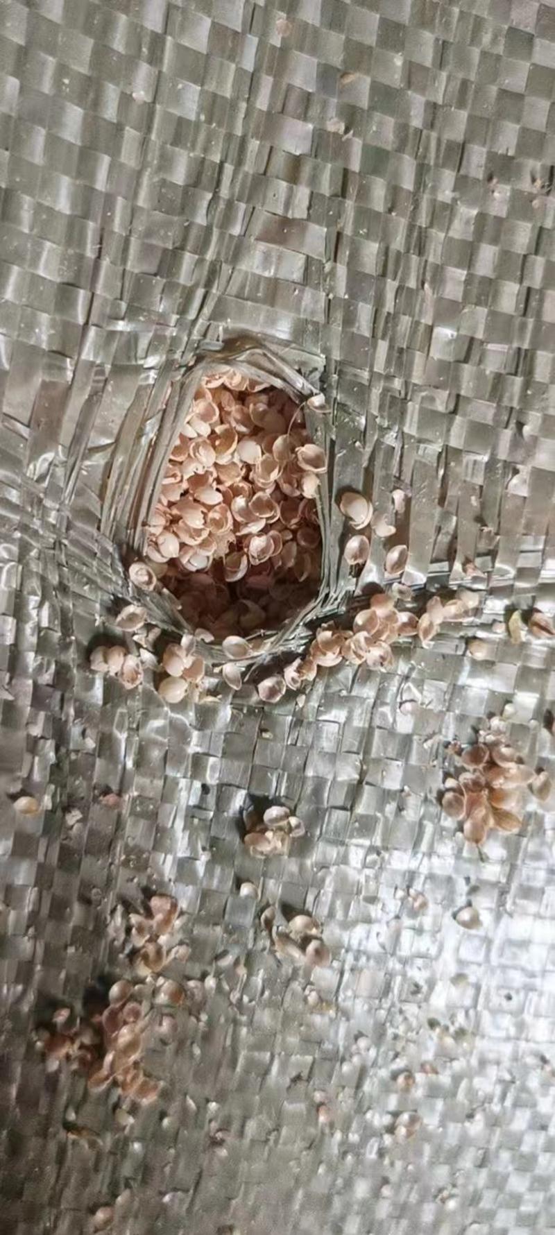 黍子壳糜子壳，枕芯填充物