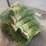 蒜薹白帽蒜苔湖北蒜薹供应各大市场电商商超品质保证