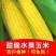 精品水果玉米，产地直发，对接商超，市场，支持全国发货！
