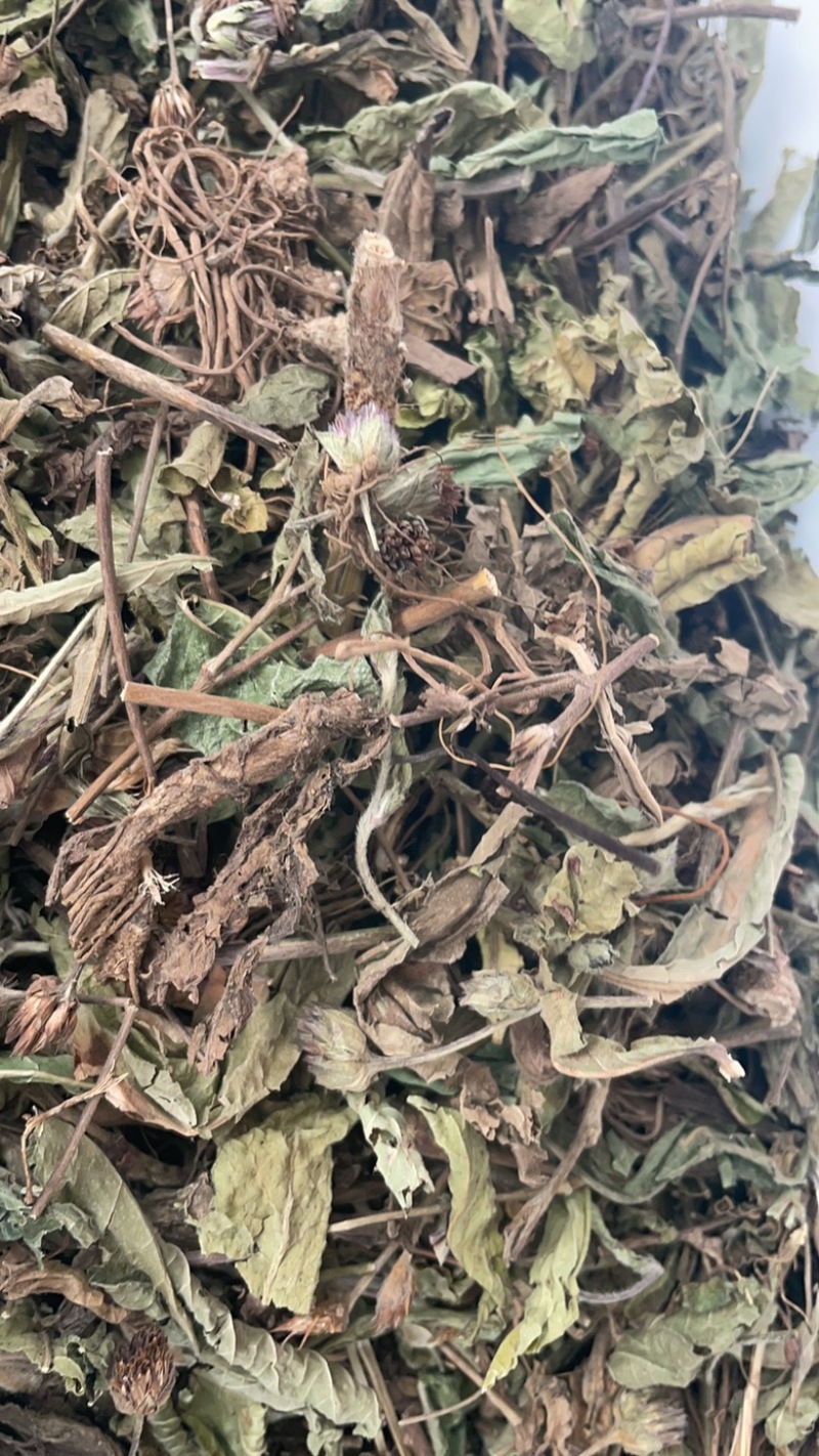 地胆草批发零售中药材一斤起发量大从优一件代发