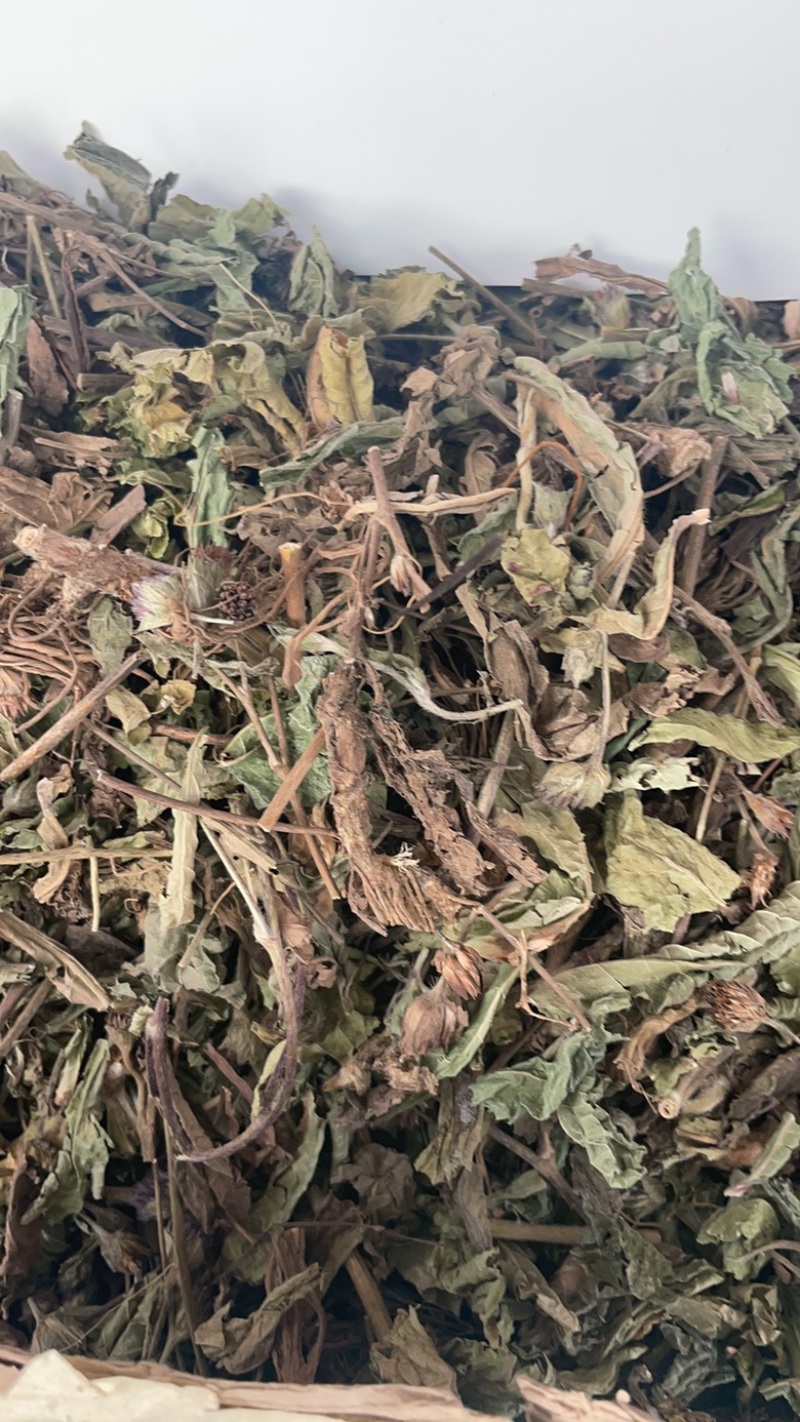 地胆草批发零售中药材一斤起发量大从优一件代发