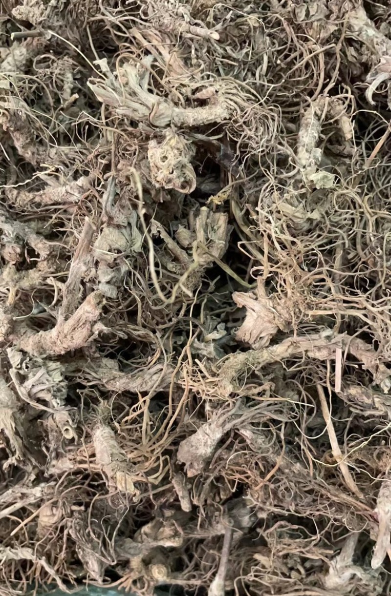 地胆草批发零售中药材一斤起发量大从优一件代发
