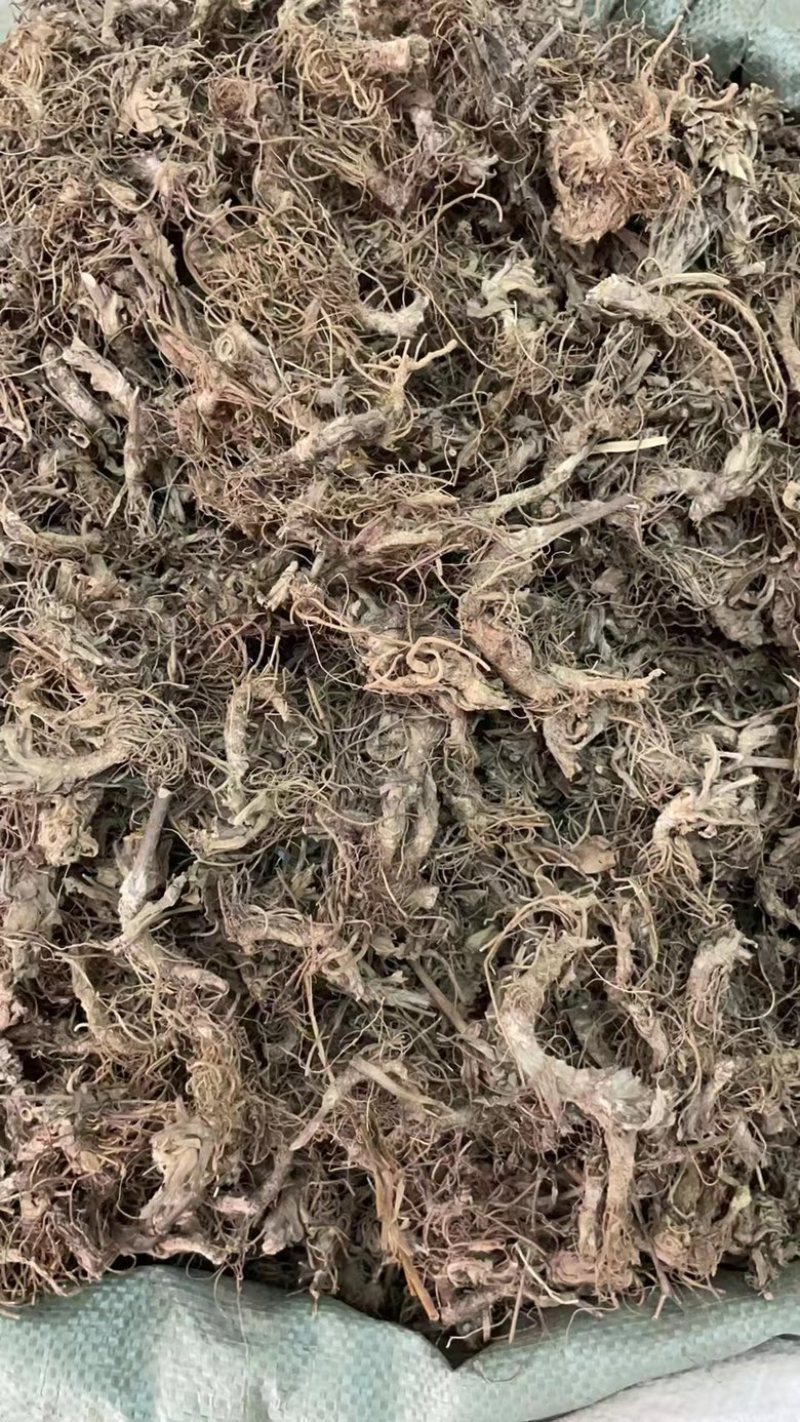 地胆草批发零售中药材一斤起发量大从优一件代发