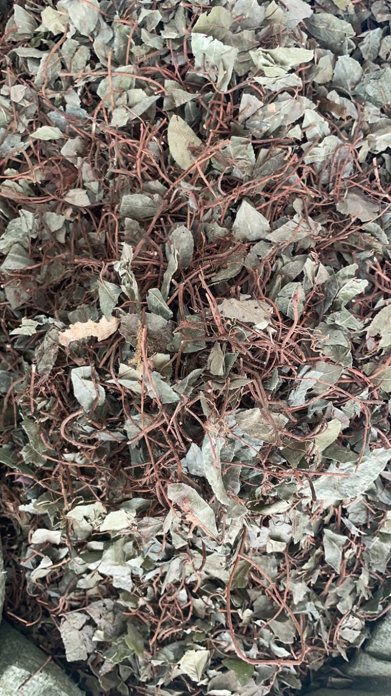 不出林批发零售中药材一斤起发量大从优一件代发