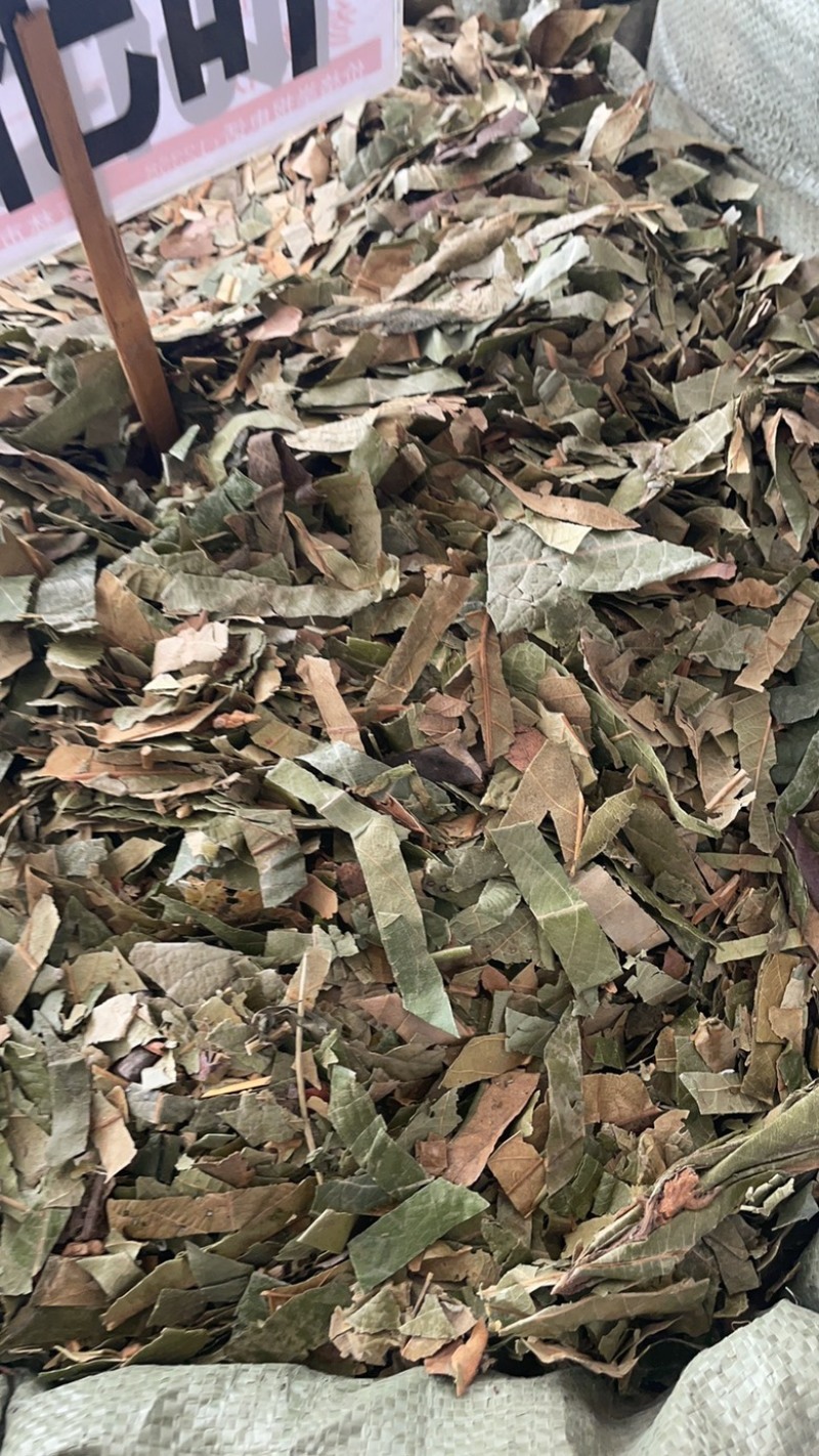枇杷叶批发零售中药材一斤起发量大从优一件代发
