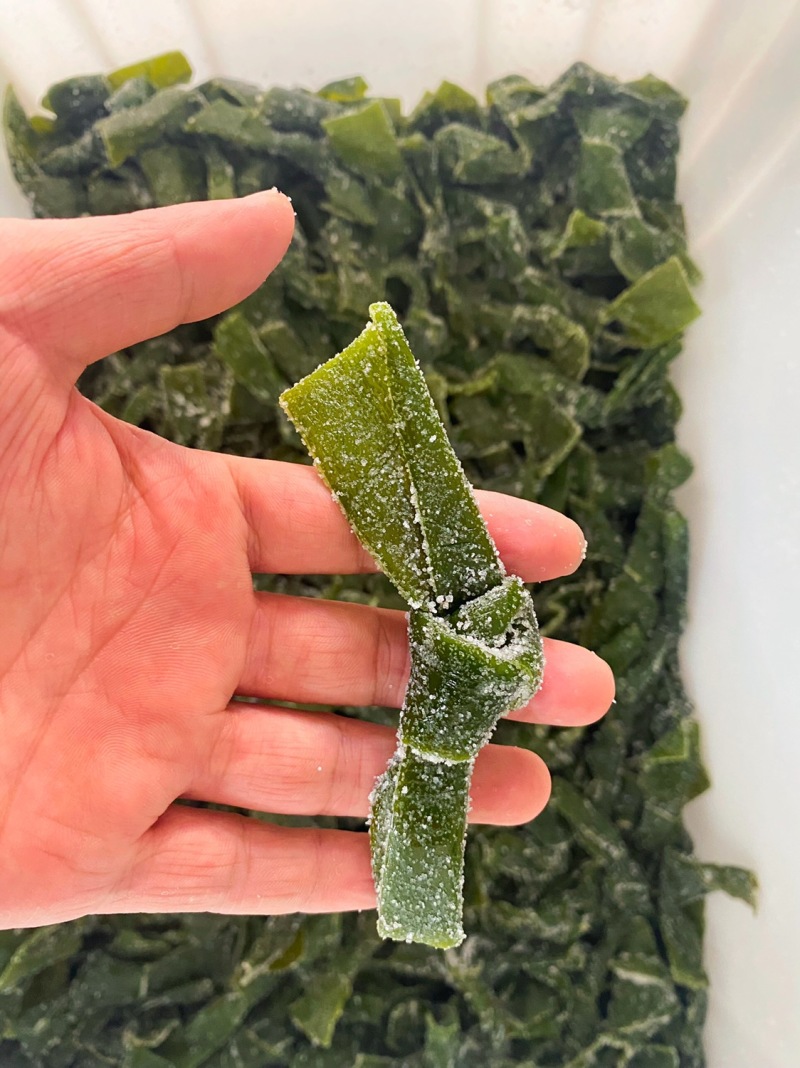 高品质腌渍海带结新鲜优质产地直发货源充足