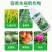 (厂家直发)沪联苯甲嘧菌酯纹枯病蔓枯病叶斑病白粉病杀菌剂