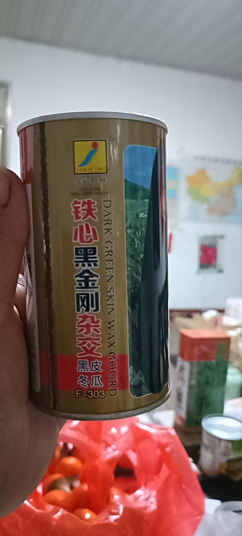 冬瓜苗黑皮铁心广东大冬瓜苗厂家直供山东发货，方便破损包赔