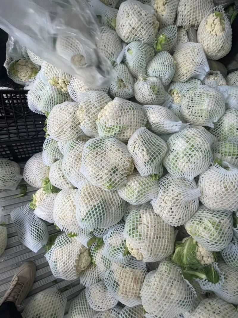 【花菜】精品松花菜有机花菜基地直发可视频看货