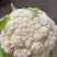 【花菜】精品松花菜有机花菜基地直发可视频看货
