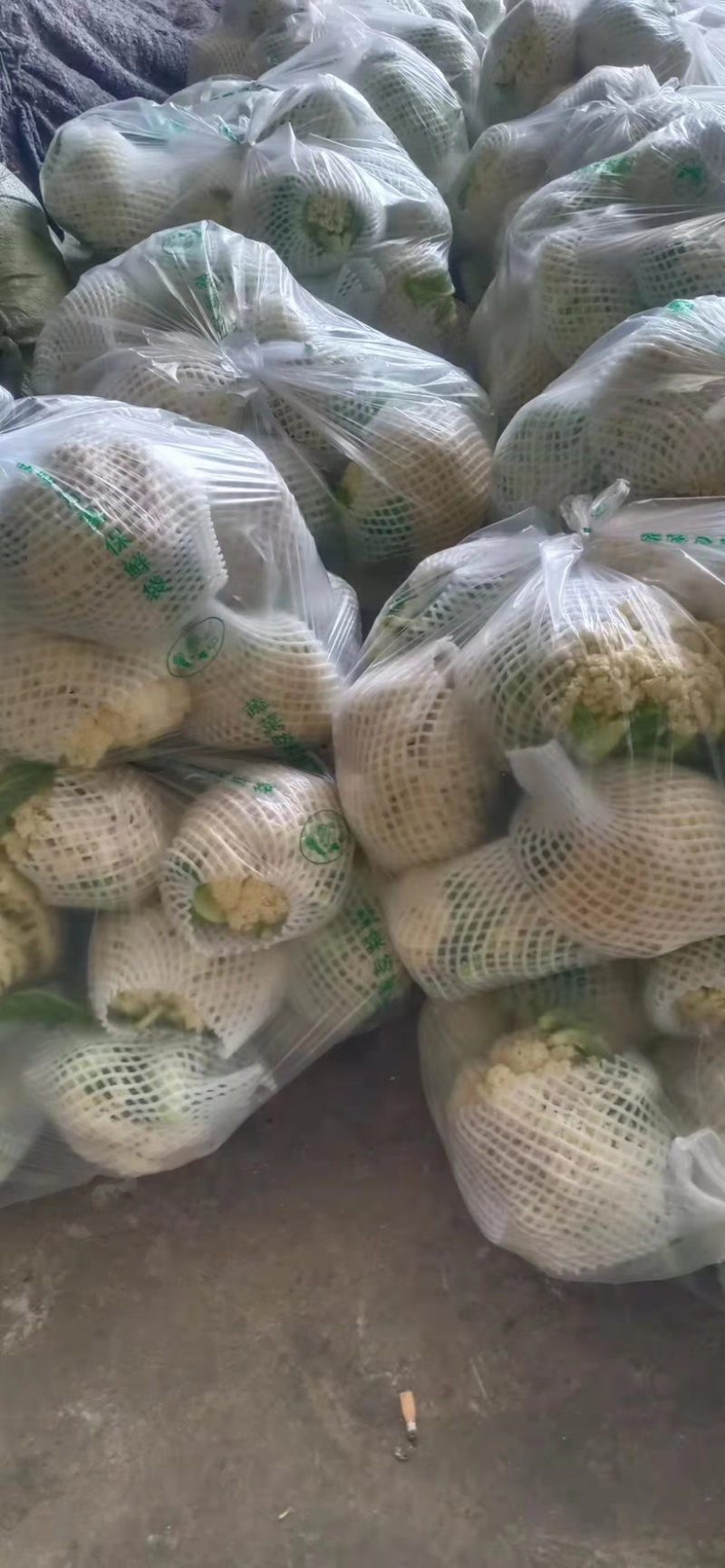 【花菜】精品松花菜有机花菜基地直发可视频看货