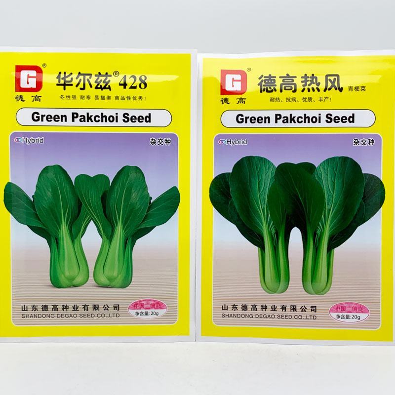 德高夏绿2号耐热耐湿青梗菜种子油亮上海青种原装发货