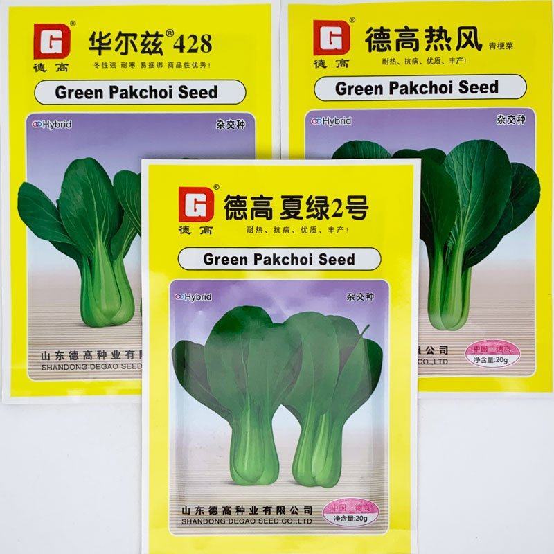 德高夏绿2号耐热耐湿青梗菜种子油亮上海青种原装发货
