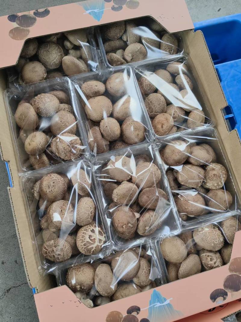 各种商超、电商小包装