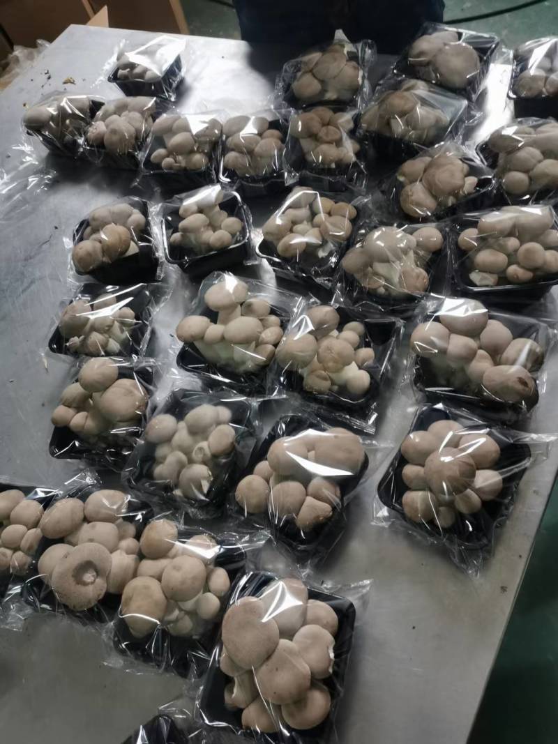 各种商超、电商小包装