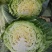 甘蓝吃了财大发