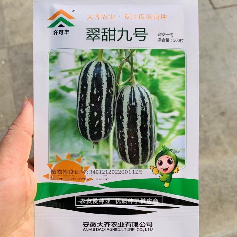 翠甜9号甜瓜种子脆酥香甜粗棒薄皮甜瓜种子子蔓孙蔓均可坐果