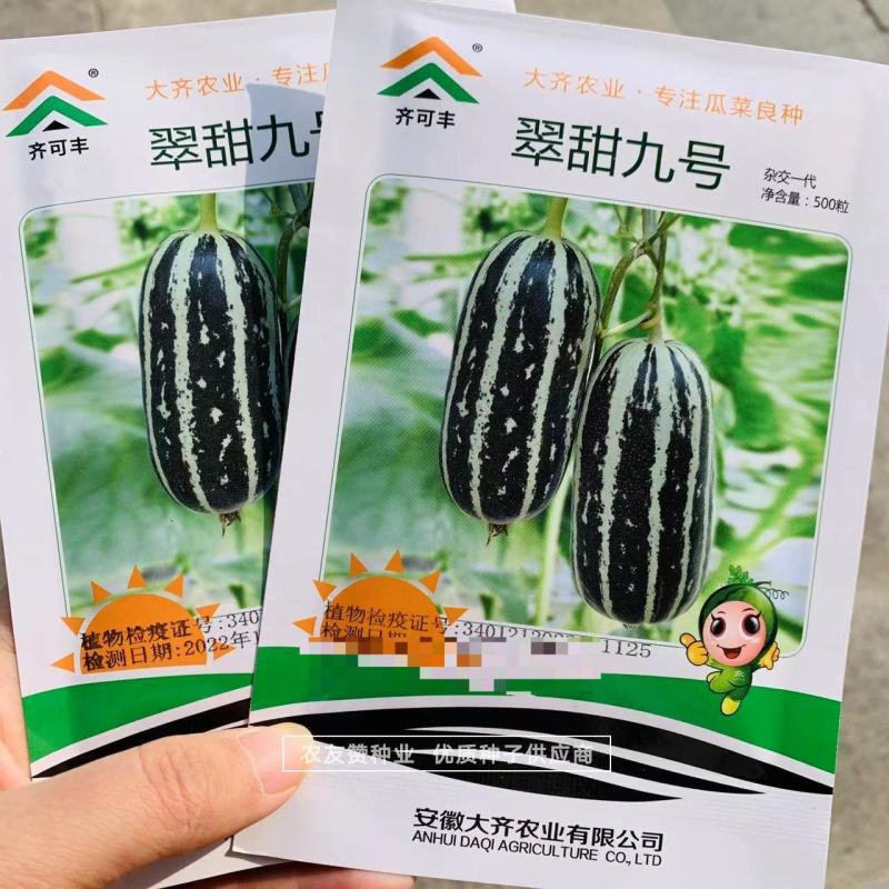 翠甜9号甜瓜种子脆酥香甜粗棒薄皮甜瓜种子子蔓孙蔓均可坐果