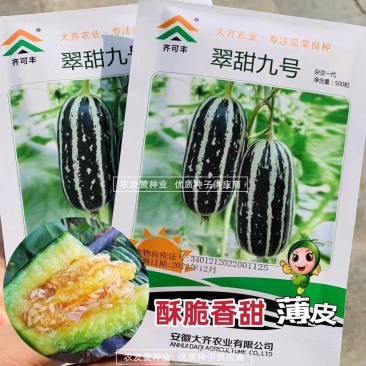 翠甜9号甜瓜种子脆酥香甜粗棒薄皮甜瓜种子子蔓孙蔓均可坐果