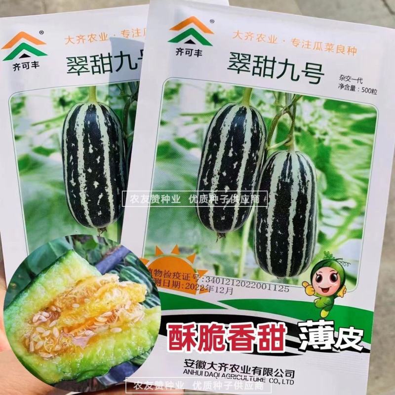 翠甜9号甜瓜种子脆酥香甜粗棒薄皮甜瓜种子子蔓孙蔓均可坐果