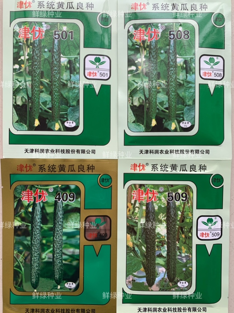 供应天津科润黄瓜研究所【津优】【津春】【驰誉】黄瓜良种