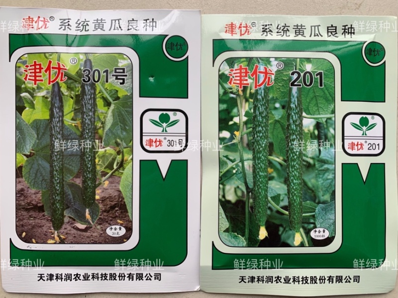 供应天津科润黄瓜研究所【津优】【津春】【驰誉】黄瓜良种