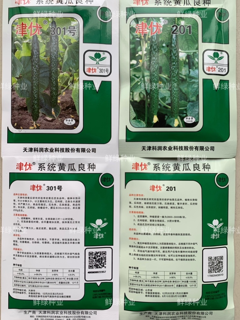 供应天津科润黄瓜研究所【津优】【津春】【驰誉】黄瓜良种