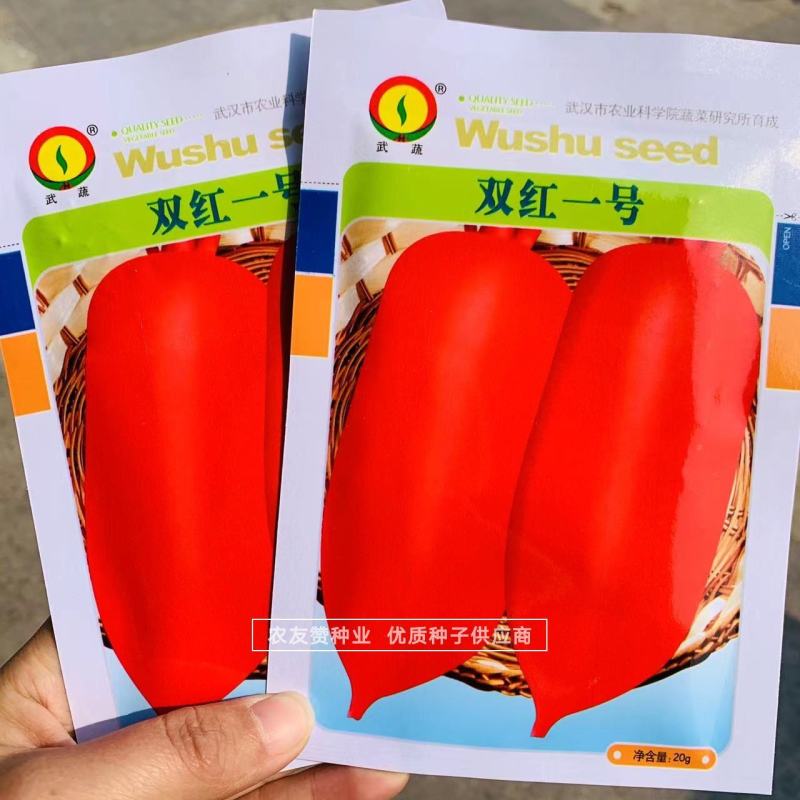 耐热极早熟红皮萝卜种子杂交一代双红一号萝卜种子抗热