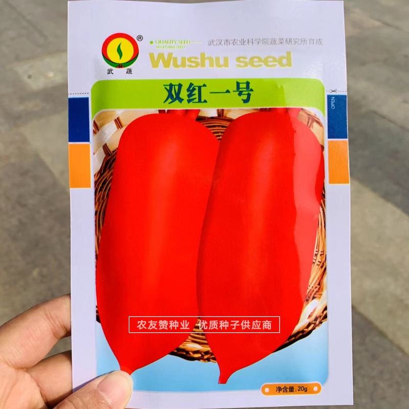 耐热极早熟红皮萝卜种子杂交一代双红一号萝卜种子抗热