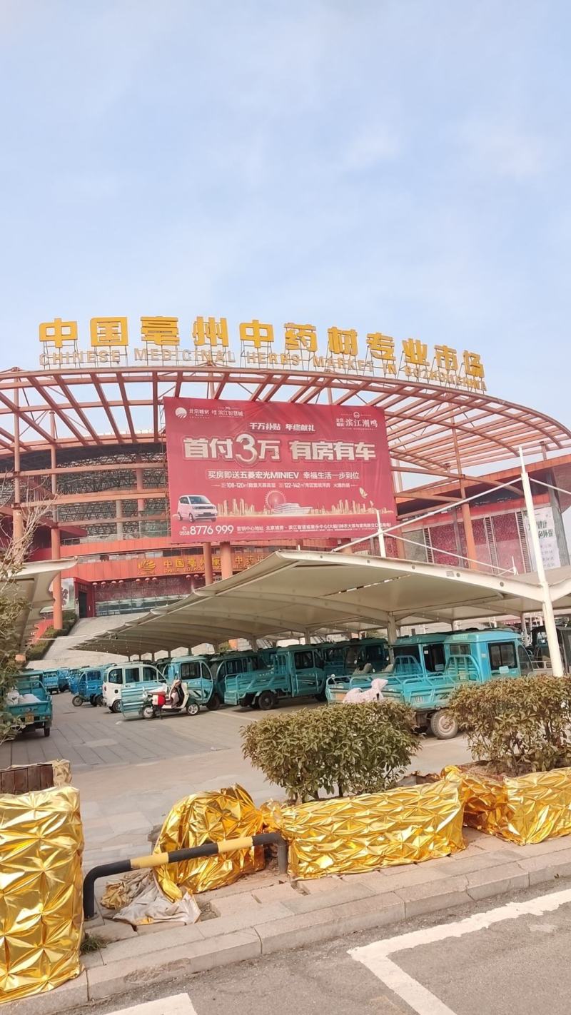 夏枯球常年有货大量批发量大从优质量保证纯