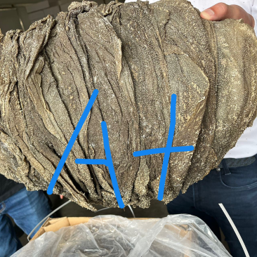 南非盐干牛百叶/盐干毛肚