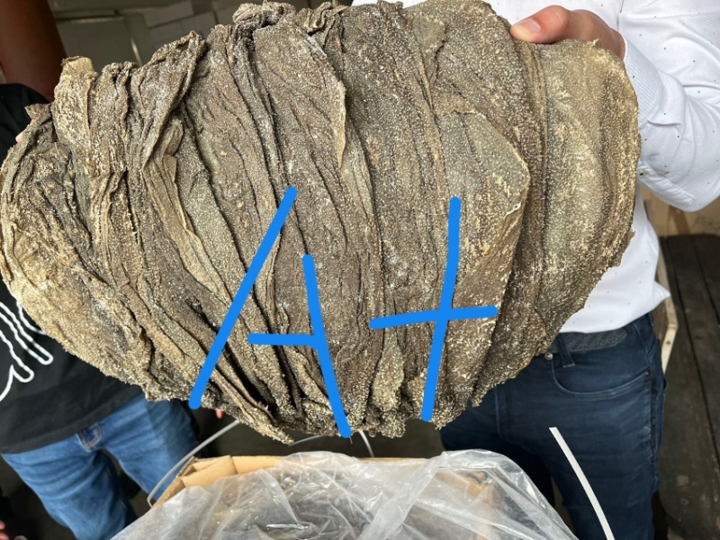 南非盐干牛百叶/盐干毛肚