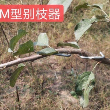 m型拉枝器果树拉枝神器w型别枝器拉枝器s压枝弯枝定型拉树