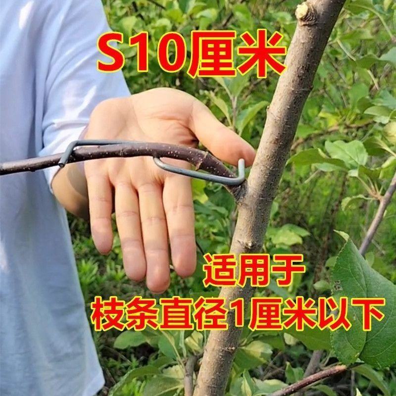 m型拉枝器果树拉枝神器w型别枝器拉枝器s压枝弯枝定型拉树