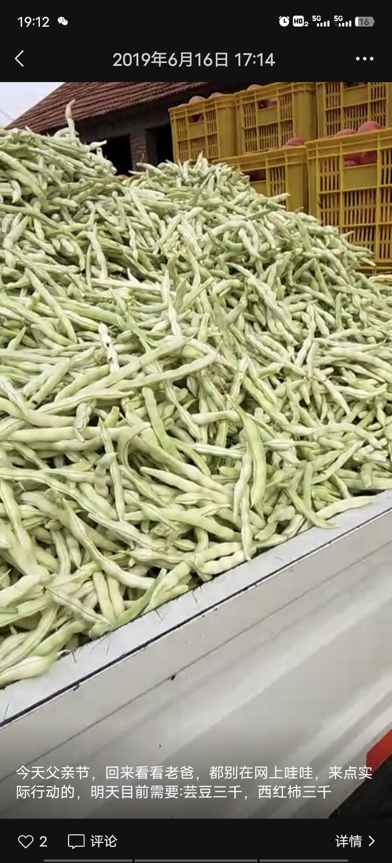 山东青岛平度市崔家集九粒白芸豆大量上市，对接批发，商超，