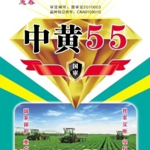 【20斤装】中黄系列大豆种子中黄13中黄57