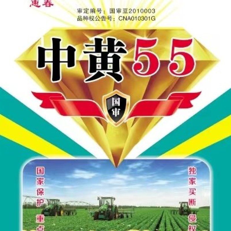 【20斤装】中黄系列大豆种子中黄13中黄57