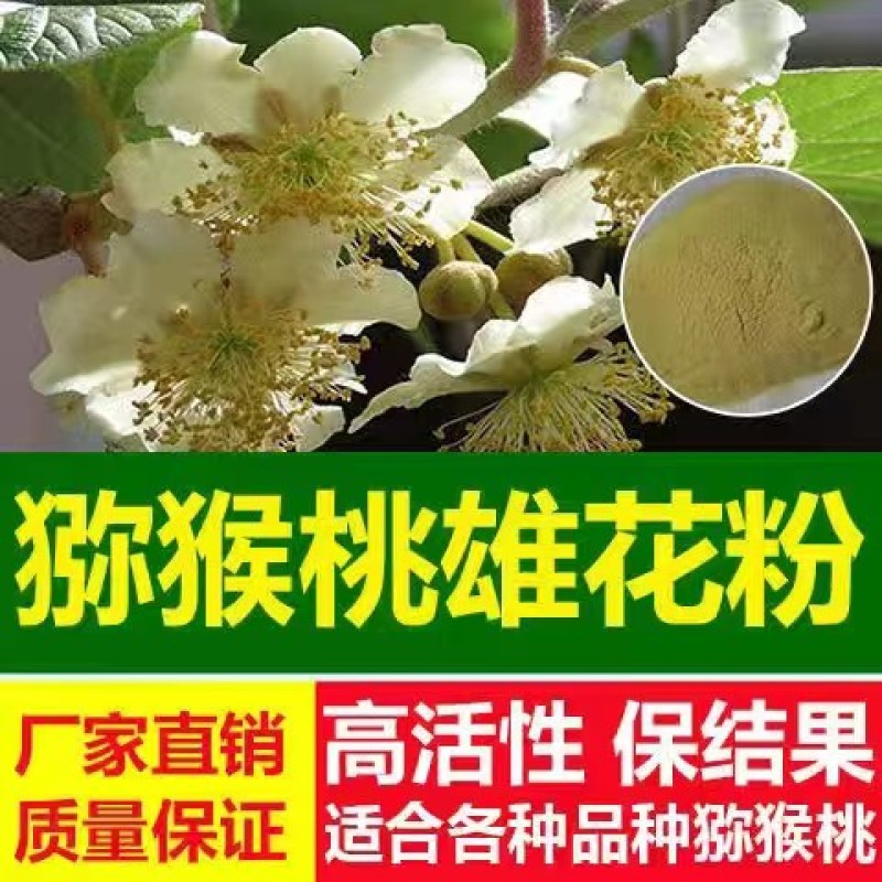 猕猴桃花粉，真实可靠，诚信做人，真实做人