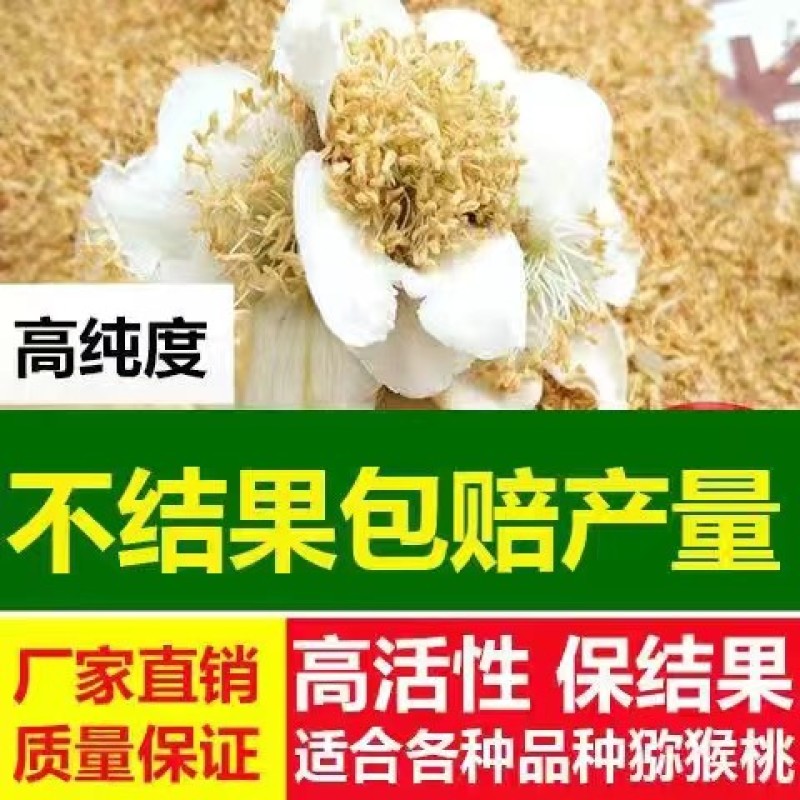 猕猴桃花粉，真实可靠，诚信做人，真实做人