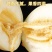 精品河南星甜甜瓜，大量上市诚信代办，欢迎各位老板前来选购。