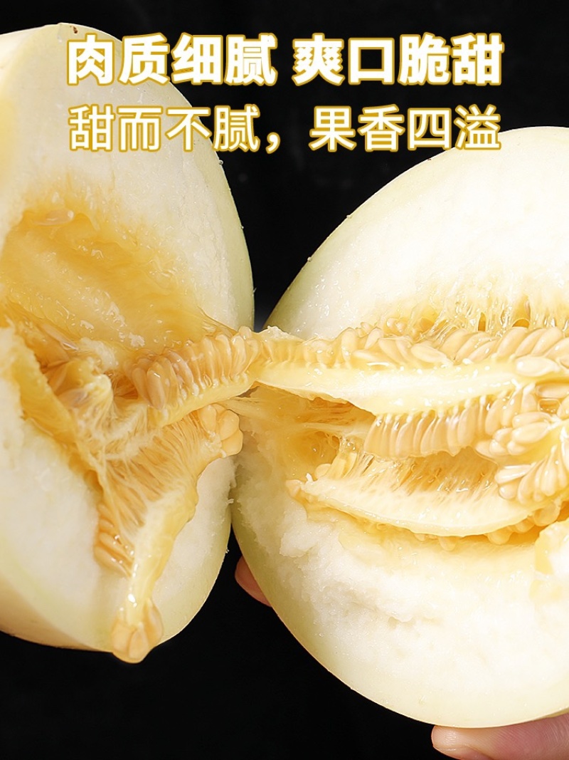 精品河南星甜甜瓜，大量上市诚信代办，欢迎各位老板前来选购。