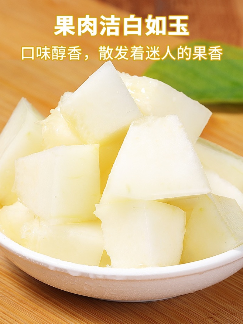 精品河南星甜甜瓜，大量上市诚信代办，欢迎各位老板前来选购。