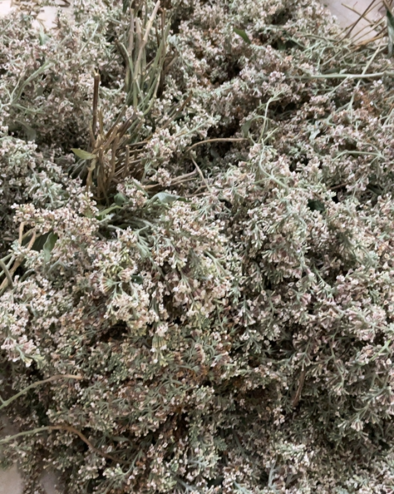 黄花，紫黄花。糯米饭少不了它