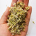 新货摘麻花农家干葱花摘蒙花摘麻麻花野葱花精瓶装炝锅